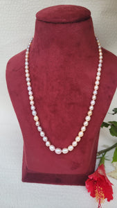 Multicolor Pearls necklace