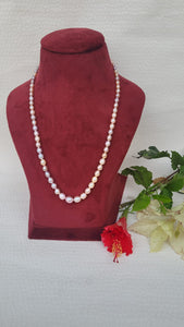 Multicolor Pearls necklace