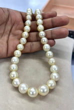 Load image into Gallery viewer, South Sea Pearls necklace