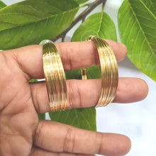 Load image into Gallery viewer, Gemzlane golden ringed danglers earrings.