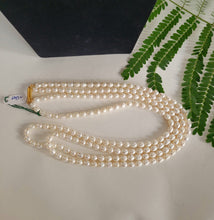 Load image into Gallery viewer, Gemzlane Real Pearls Double Line Necklace